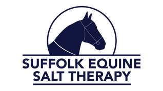 Suffolk Equine Salt Therapy